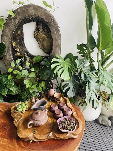 Đường mía hà thủ ô-duoc-ban-tai-Nông Sản Sạch Tây Bắc