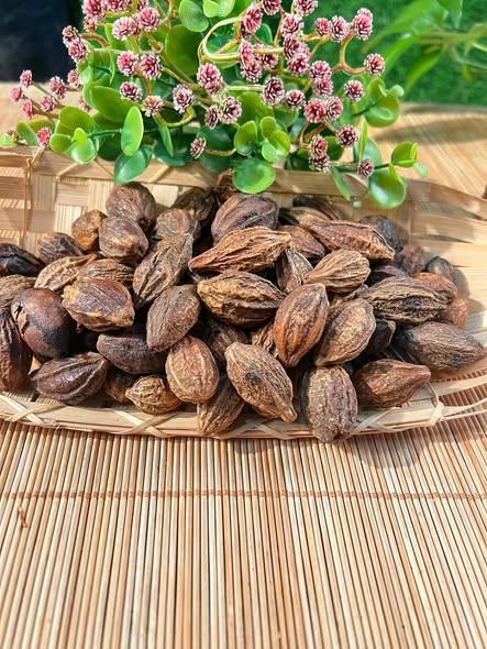 Quả Kha Tử-duoc-ban-tai-Nông Sản Sạch Tây Bắc