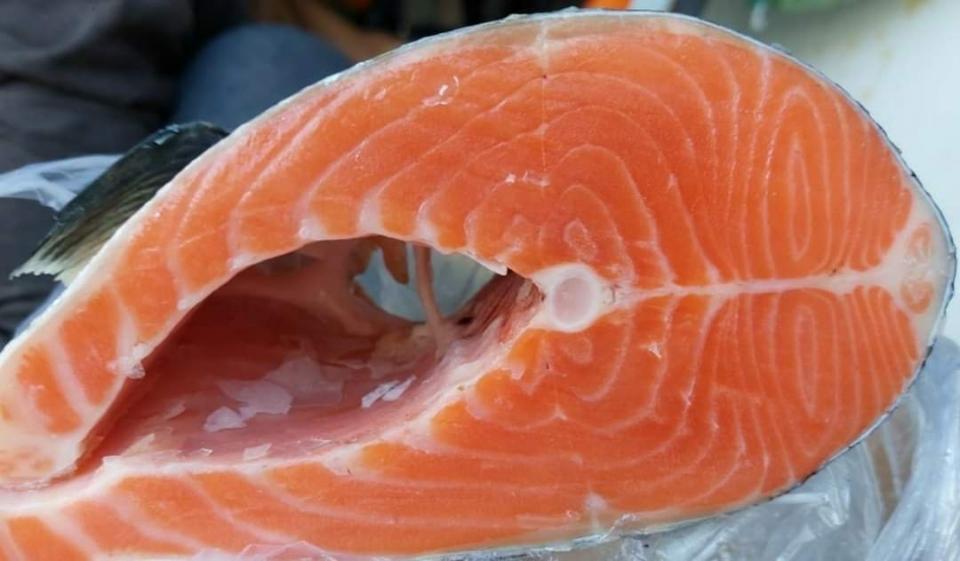 Cá hồi đông Coho -duoc-ban-tai-Toàn 40