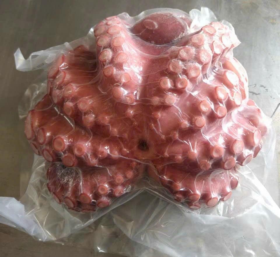 Bạch Tuộc đỏ Size 1,2_2,5kg-duoc-ban-tai-Toàn Food 4.0