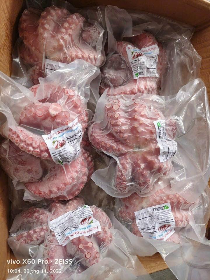 Bạch Tuộc đỏ nissi nhật -duoc-ban-tai-Toàn Food 4.0