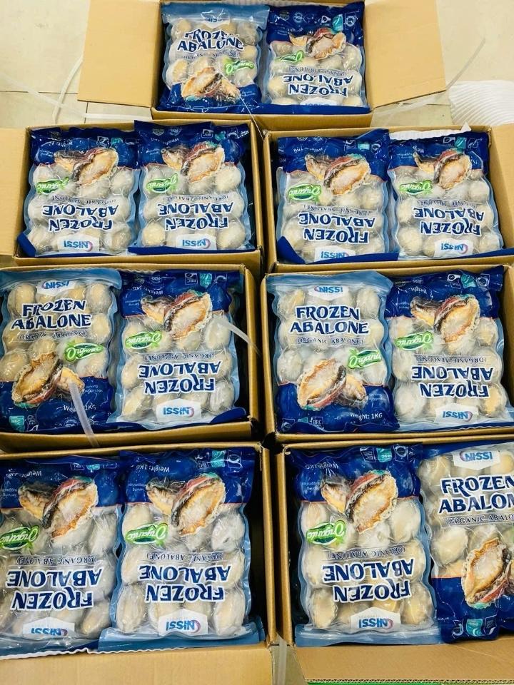 Bào ngư  nissi cao cấp size 15_17 -duoc-ban-tai-Toàn 40