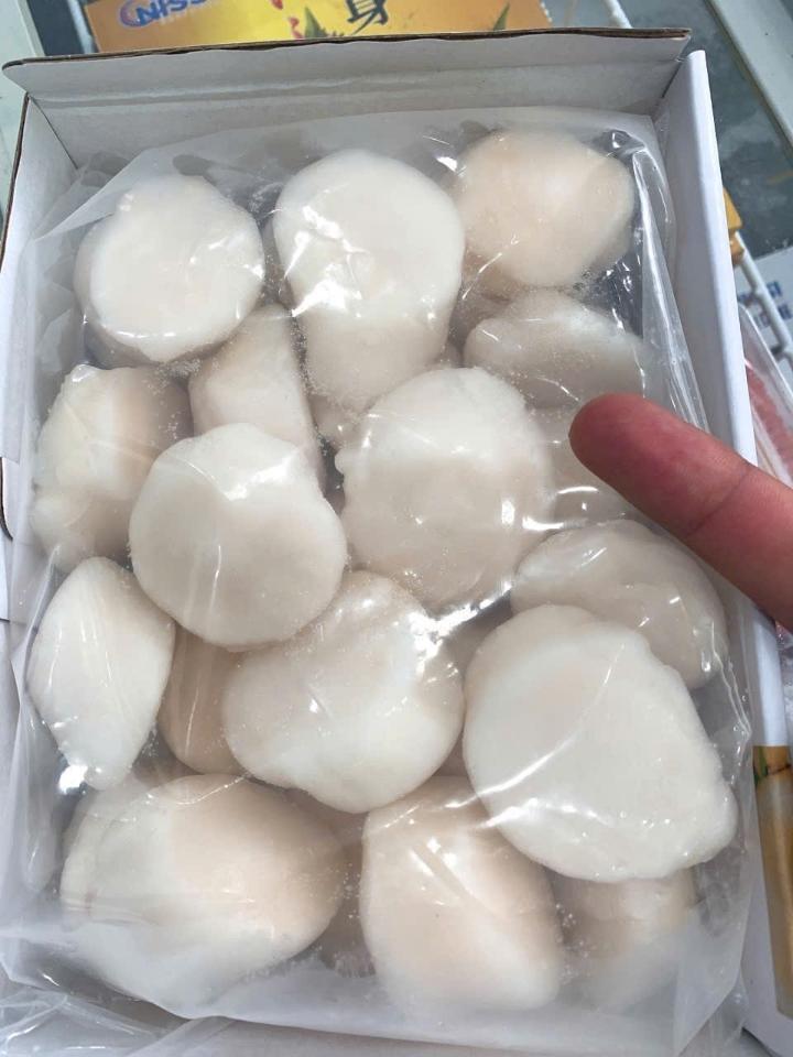 Coi sò điệp Nissi 2S-duoc-ban-tai-Toàn Food 4.0