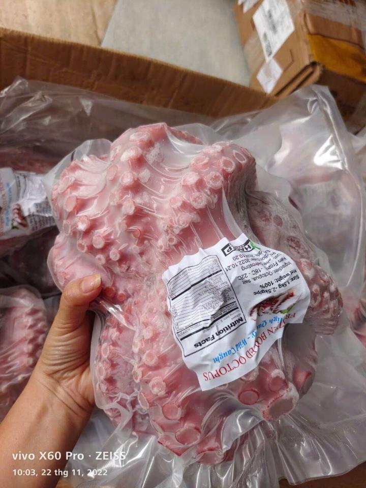 Bạch Tuộc đỏ nissi nhật -duoc-ban-tai-Toàn Food 4.0
