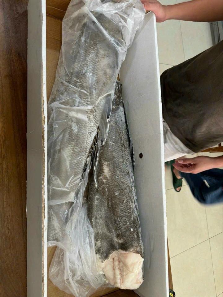 Cá tuyết pháp cao cấp size 5_10kg-duoc-ban-tai-Toàn Food 4.0