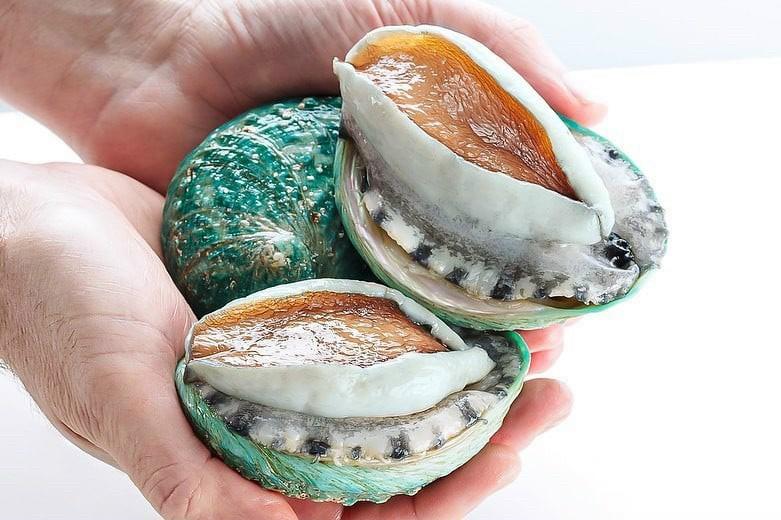 Bào ngư viền xanh Úc -duoc-ban-tai-Toàn Food 4.0
