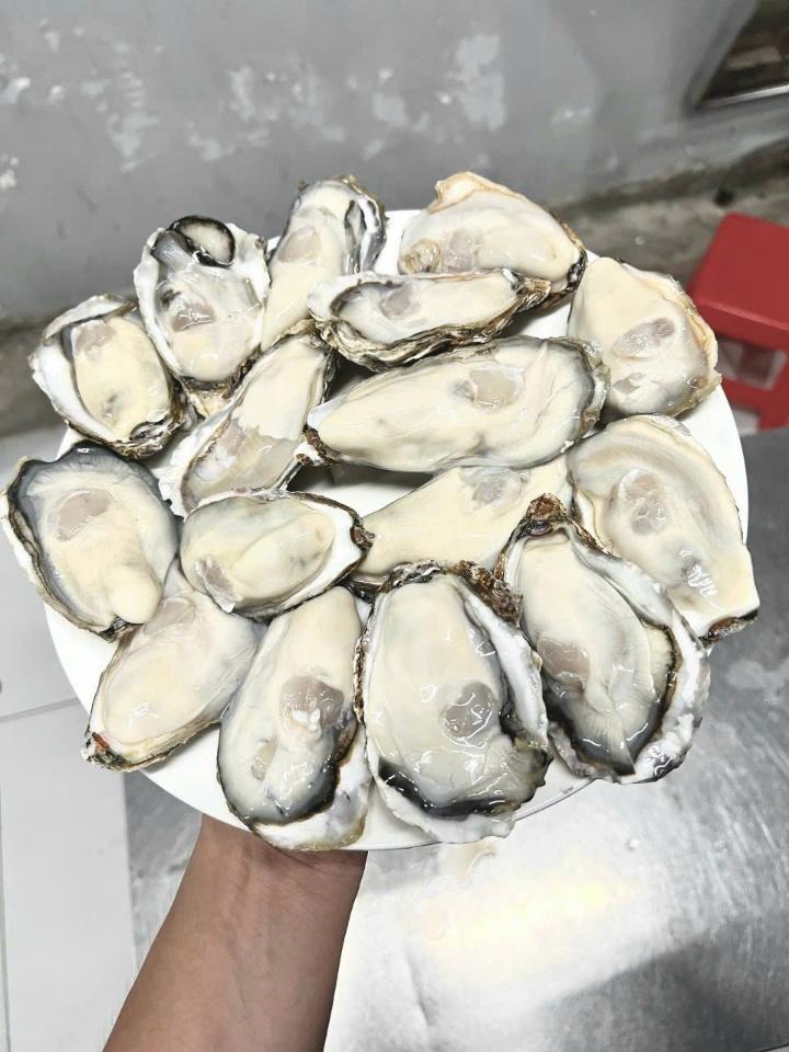 Hầu nhật Oyster sashimi size 5_6con-duoc-ban-tai-Toàn Food 4.0