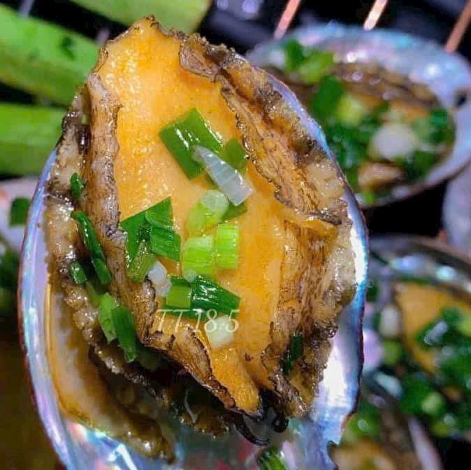 Bào ngư  nissi cao cấp size 15_17 -duoc-ban-tai-Toàn 40