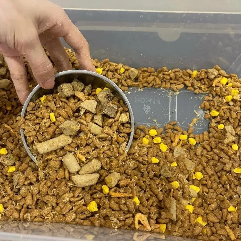 Hạt pet Life siêu topping cho cún-duoc-ban-tai-PINE PET STORE