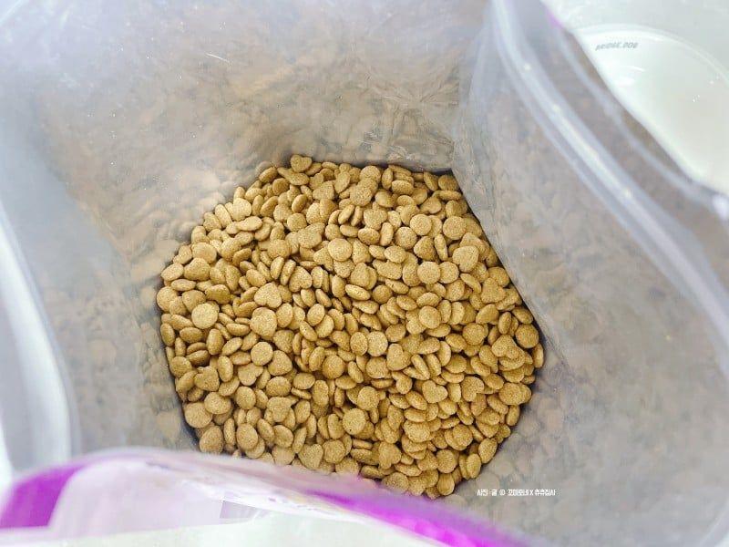 Hạt Doulight cho mèo-duoc-ban-tai-PINE PET STORE