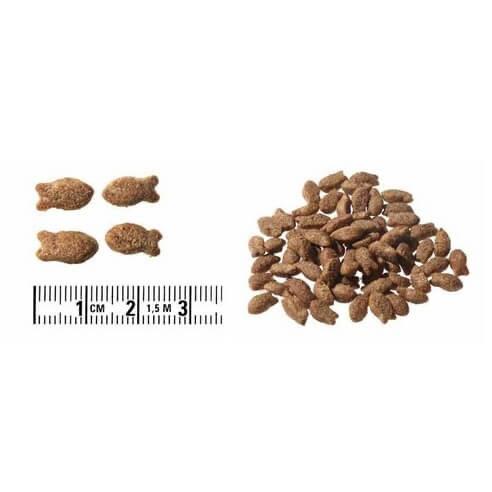 Hạt Cat's Eye cho mèo-duoc-ban-tai-PINE PET STORE