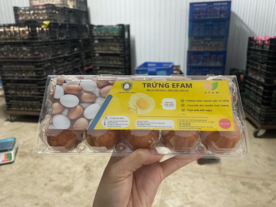 Trứng gà hộp-duoc-ban-tai-Đại lý trứng EFAM