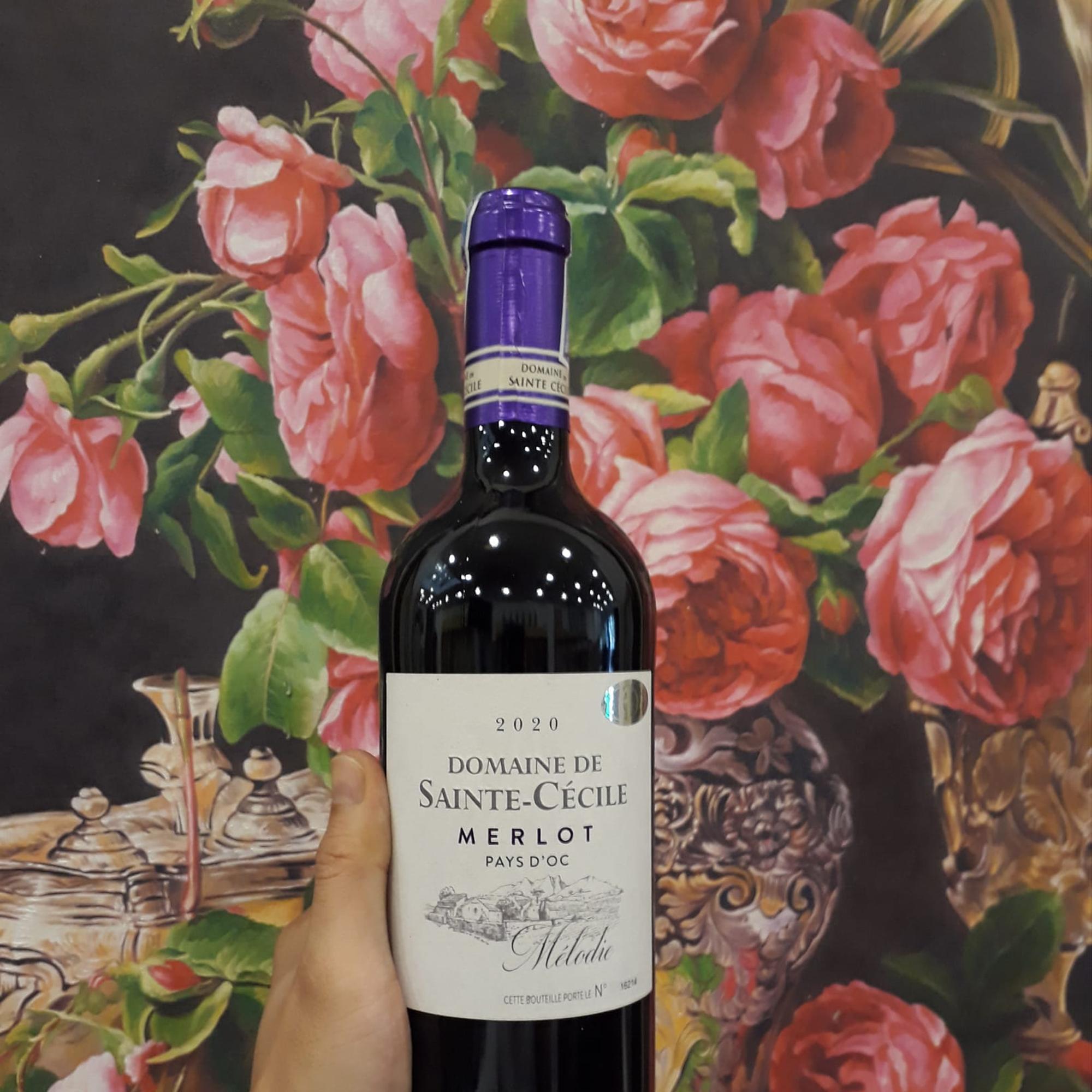 051 - GCF080- Rượu Vang đỏ Pháp - Domaine de Sainte Cecile Merlot 2021-duoc-ban-tai-NGUỒN HÀNG SIÊU RẺ
