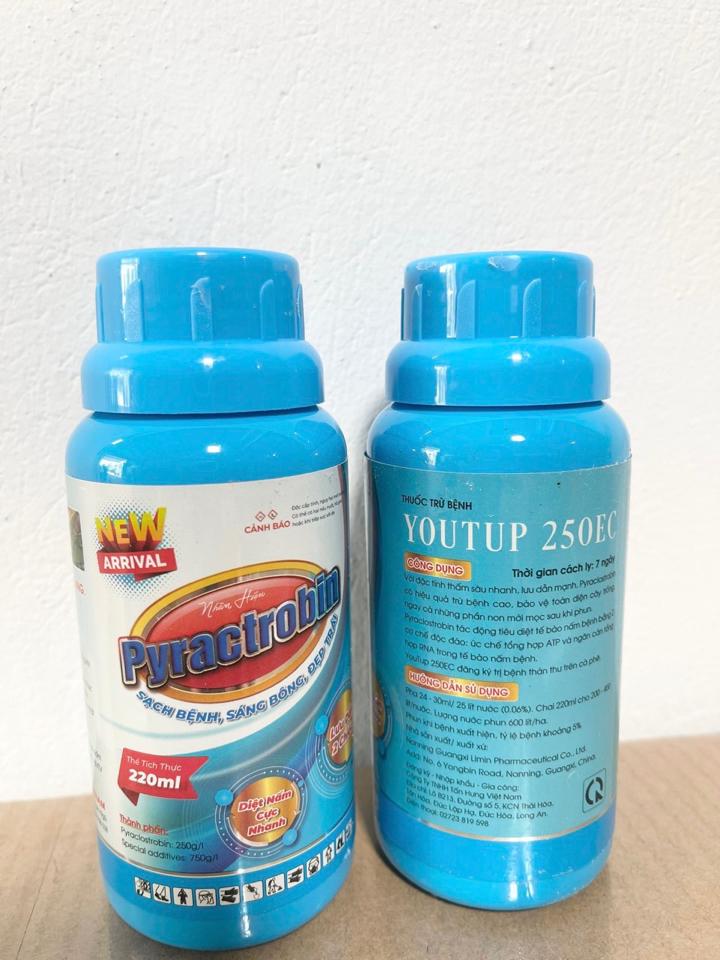 Pyractrobin-duoc-ban-tai-FUGO VIETNAM
