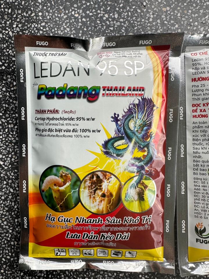 Padang thailand-duoc-ban-tai-FUGO VIETNAM