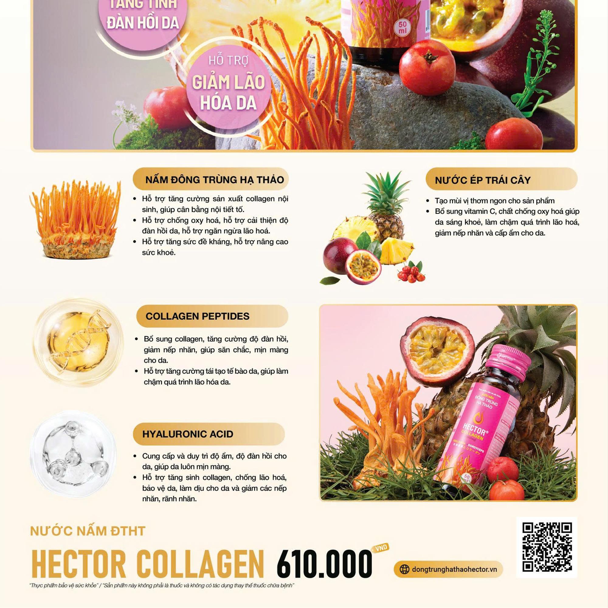 Nước nấm đông trùng hạ thảo Hector Collagen-duoc-ban-tai-Công ty TNHH Hàng Việt Phố