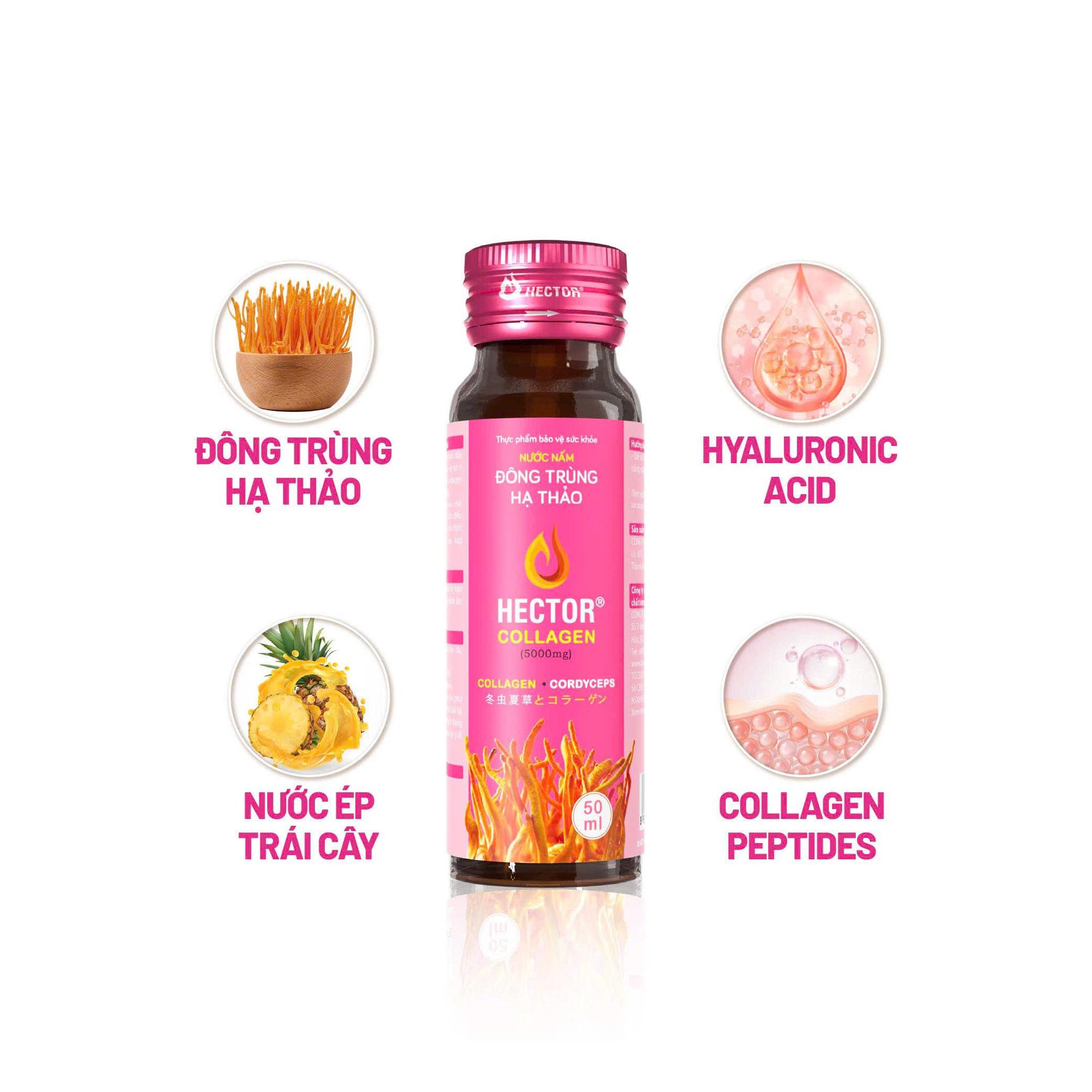 Nước nấm đông trùng hạ thảo Hector Collagen-duoc-ban-tai-Công ty TNHH Hàng Việt Phố