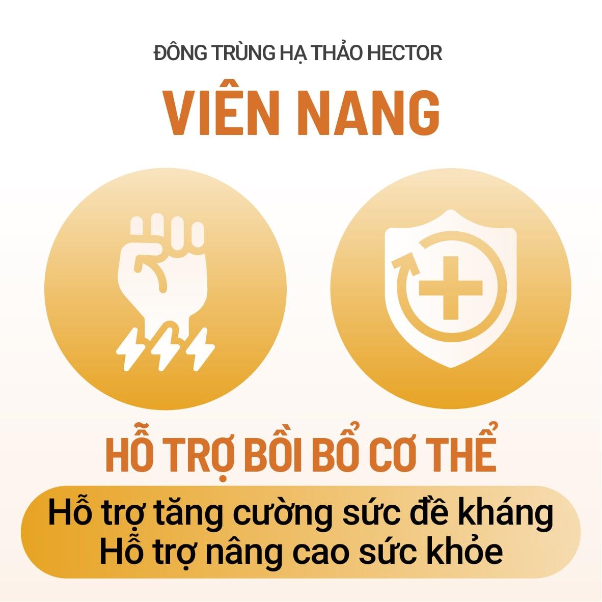 Viên nang ĐTHT Hector (lọ 30 viên)-duoc-ban-tai-Công ty TNHH Hàng Việt Phố