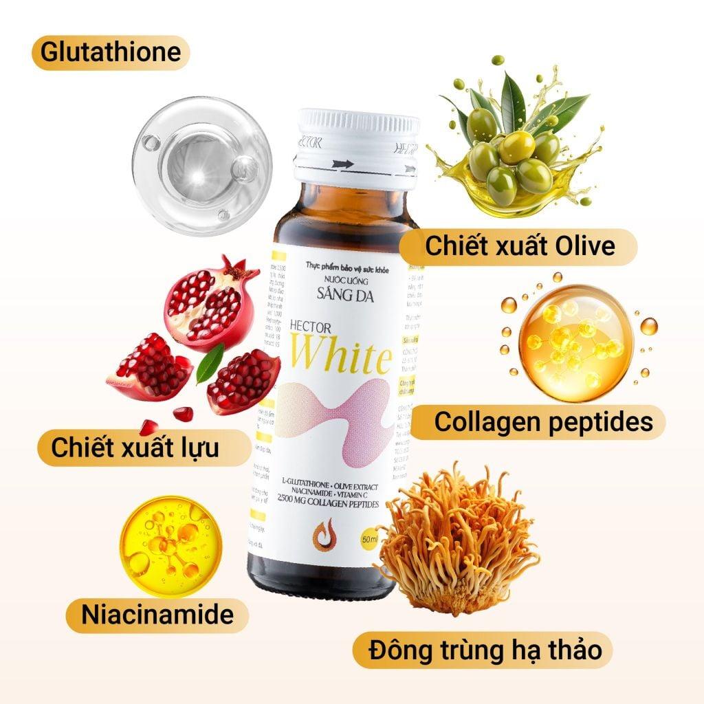 Nước uống sáng da Hector White-duoc-ban-tai-Công ty TNHH Hàng Việt Phố
