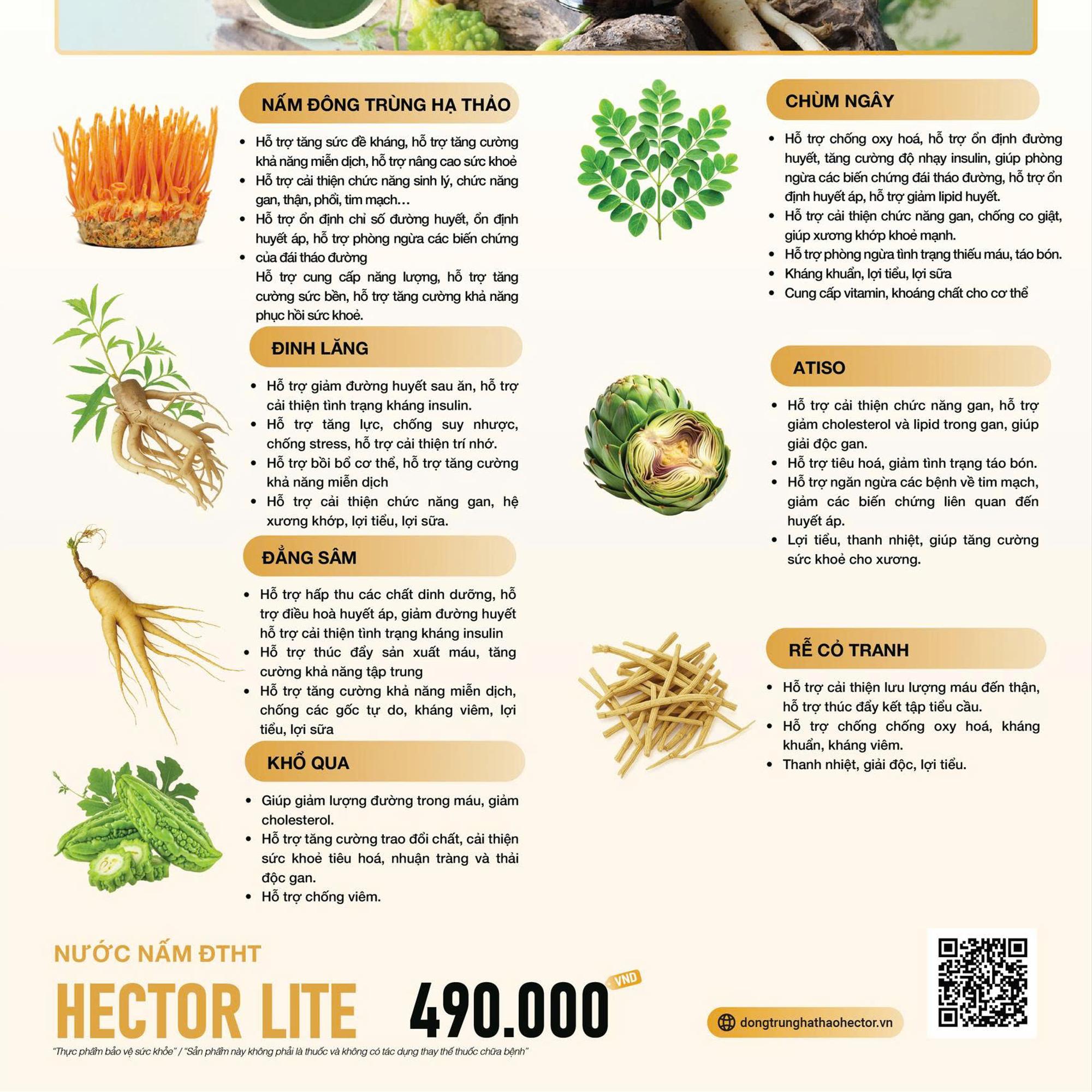 Nước nấm ĐTHT Hector Lite cho người tiểu đường-duoc-ban-tai-Công ty TNHH Hàng Việt Phố