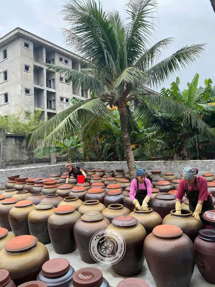 Chanh Sành-duoc-ban-tai-Công ty TNHH Hàng Việt Phố