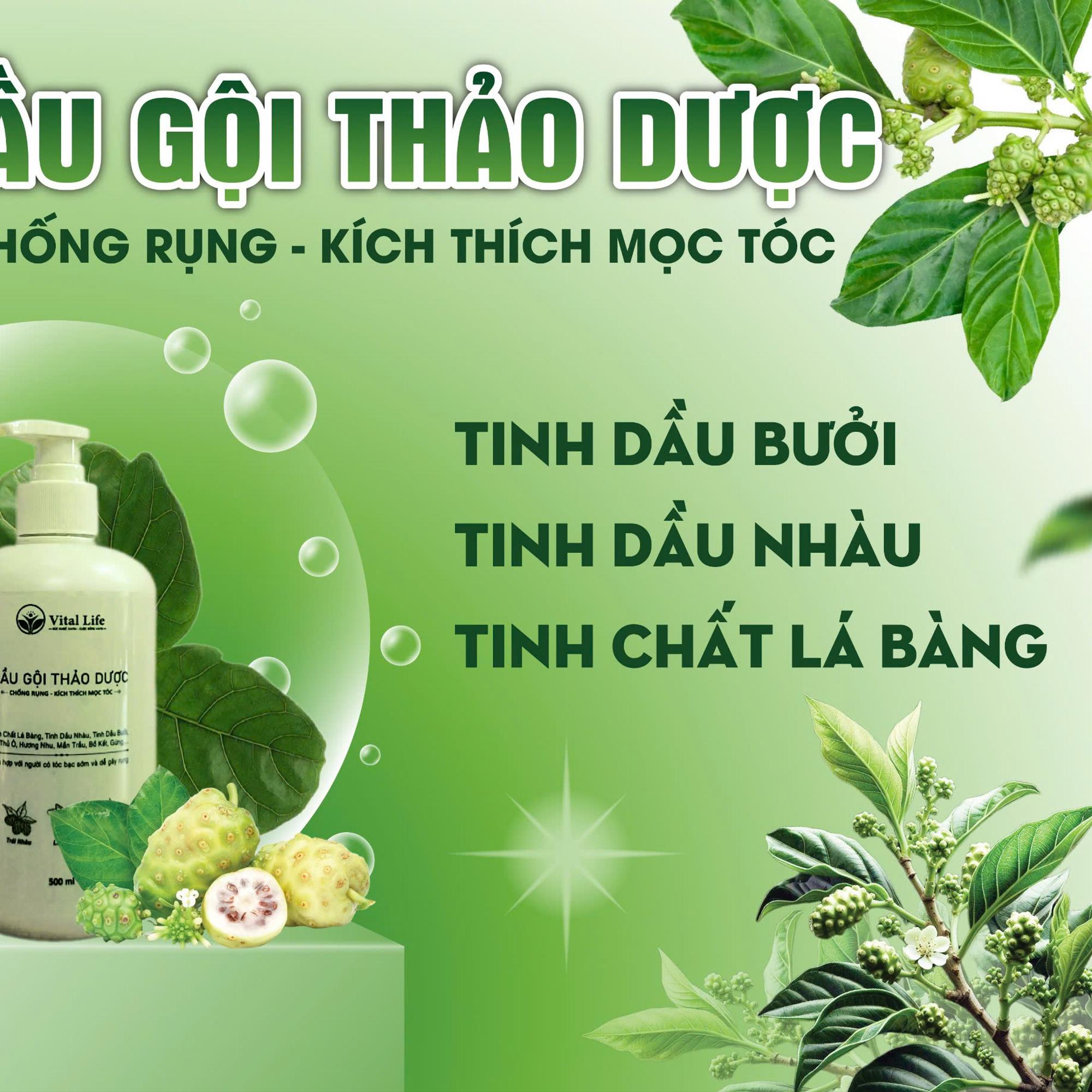 Dầu gội thảo dược 500ml-duoc-ban-tai-Vital Noni