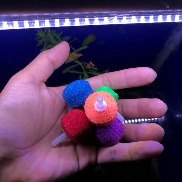 Sủi tròn oxi cho hồ cá ( 1 cục )-duoc-ban-tai-Tí Aqua Shop