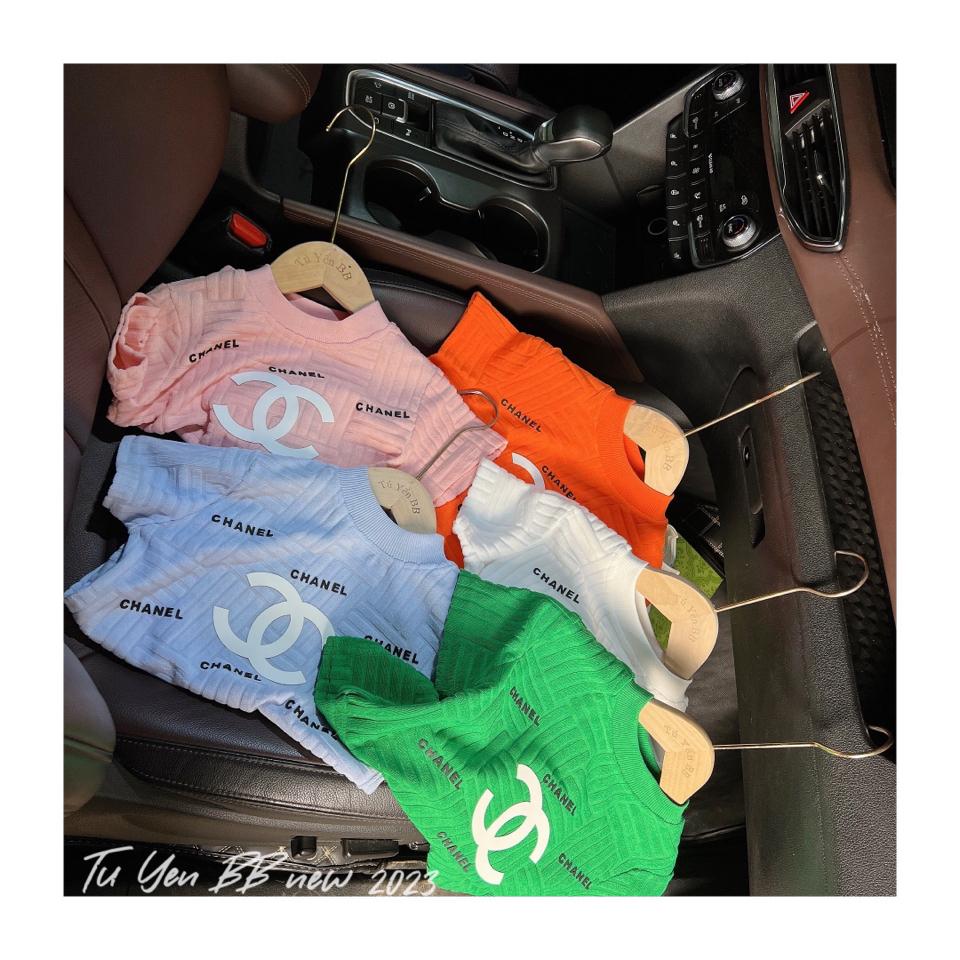 Áo phông thương hiệu 6631 (54)-duoc-ban-tai-🤎 Sâu Xinh Store 🤎