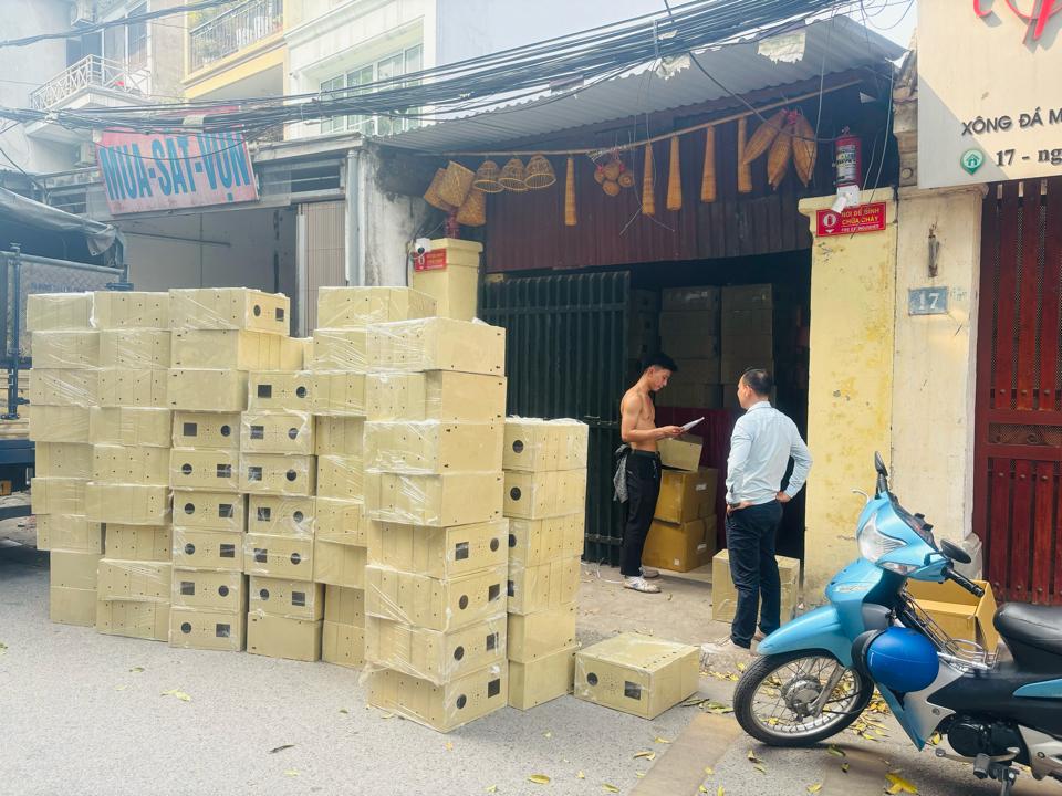 Vỏ tổ hợp truyền thống-duoc-ban-tai-Lỗ Tuấn