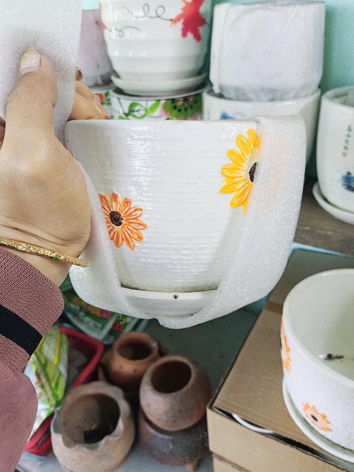 Chậu Dĩa 2-duoc-ban-tai-Asaly Garden