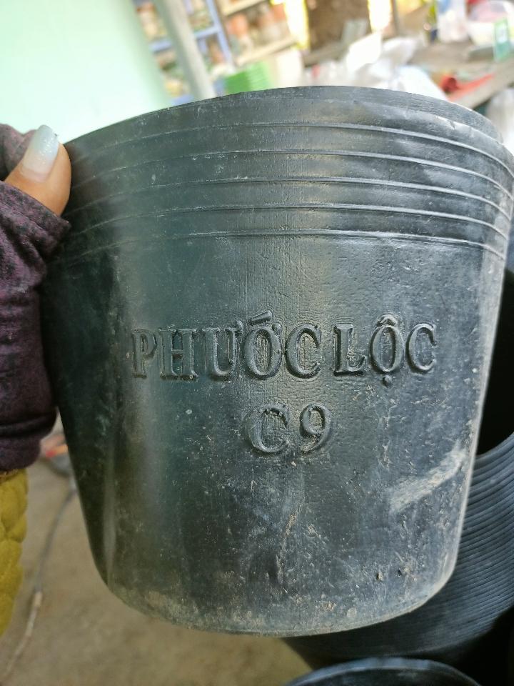 Chậu Đen C9-duoc-ban-tai-Asaly Garden