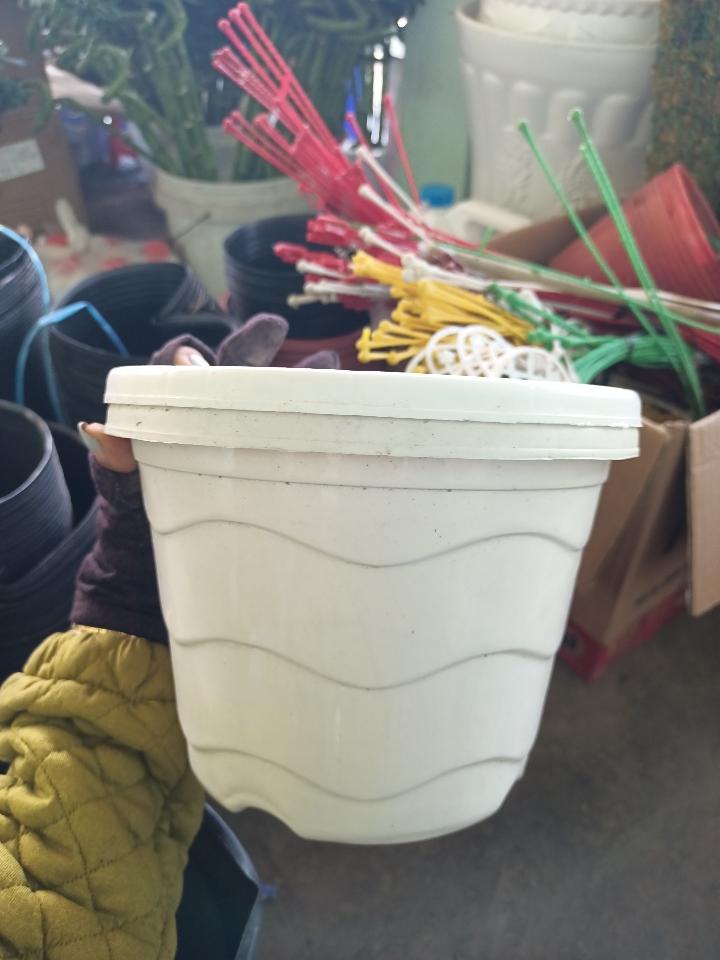 Chậu Treo 10k-duoc-ban-tai-Asaly Garden