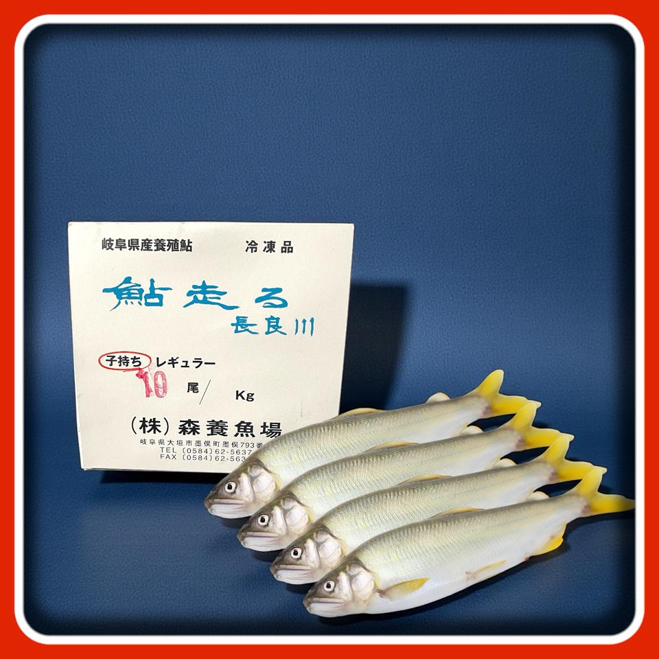 Cá Hương Ayu Nhật Bản (Không trứng)-duoc-ban-tai-Thực Phẩm Đông Hải