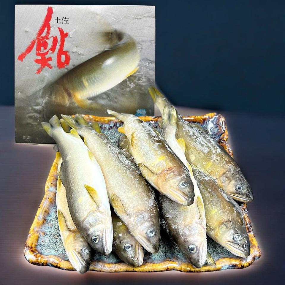 Cá Đắng Ayu ( cá hương) Nhật Bản không trứng-duoc-ban-tai-Thực Phẩm Đông Hải