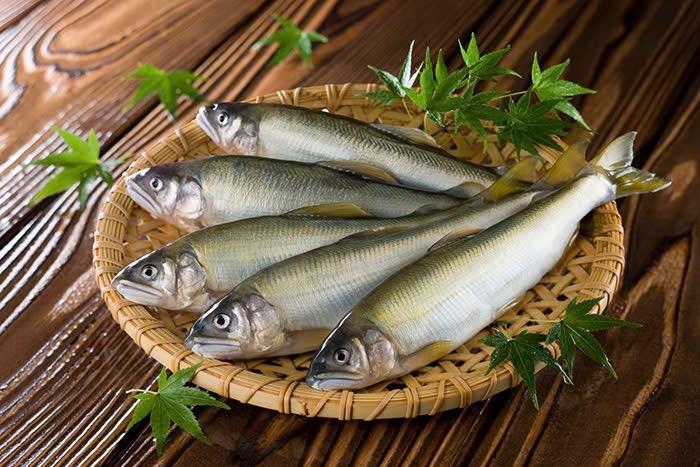 Cá Đắng Ayu ( Cá Hương) Nhật Bản có trứng-duoc-ban-tai-Thực Phẩm Đông Hải