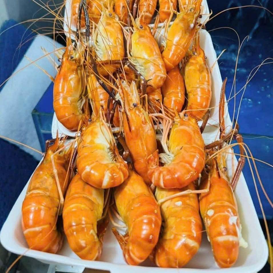 Tôm càng sen hấp size 20-24-duoc-ban-tai-Thực Phẩm Đông Hải