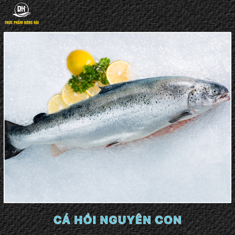 Cá hồi Nauy tươi nguyên con (không áp dụng giá niêm yết )-duoc-ban-tai-Thực Phẩm Đông Hải