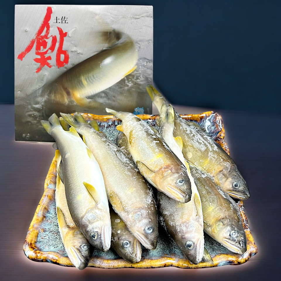 Cá Đắng Ayu ( Cá Hương) Nhật Bản có trứng-duoc-ban-tai-Thực Phẩm Đông Hải