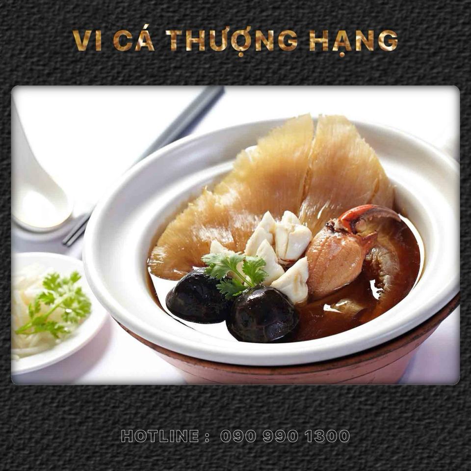 Vi Cá Mập Tươi-duoc-ban-tai-Thực Phẩm Đông Hải