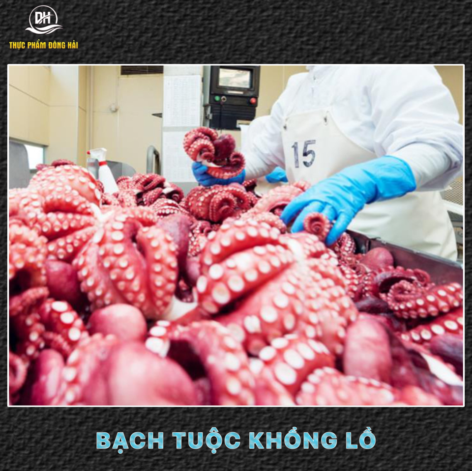 Bạch tuộc nhật nguyên con-duoc-ban-tai-Thực Phẩm Đông Hải