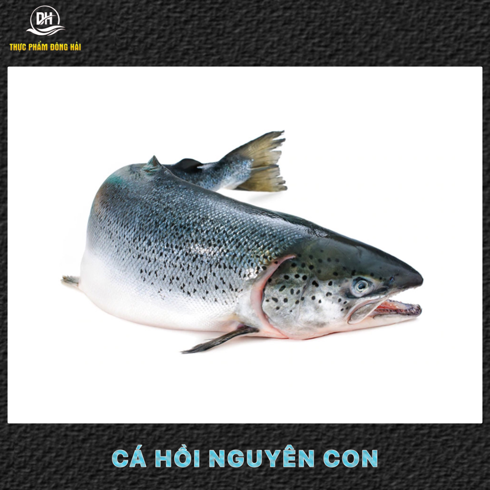 Cá hồi Nauy tươi nguyên con (không áp dụng giá niêm yết )-duoc-ban-tai-Thực Phẩm Đông Hải