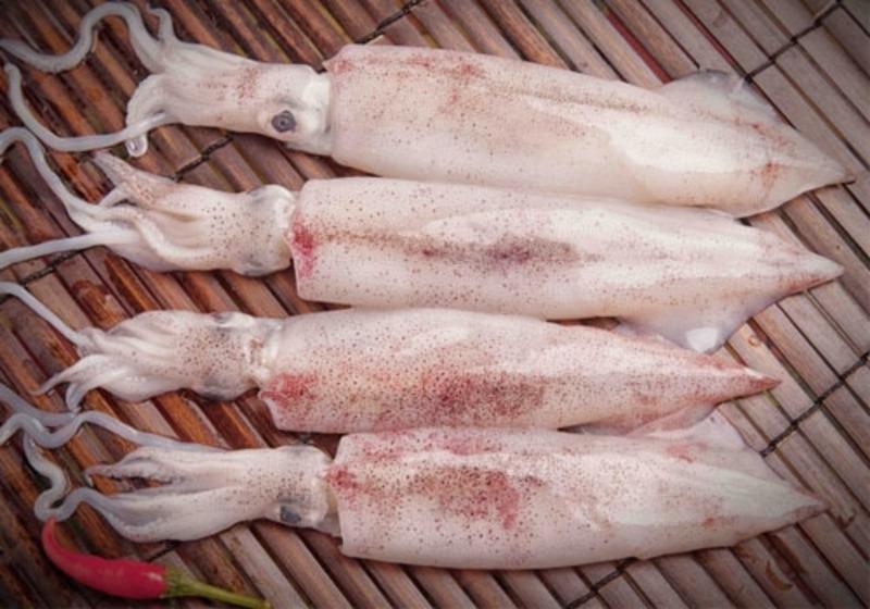 Mực ống lớn làm sạch -duoc-ban-tai-Thực Phẩm Đông Hải