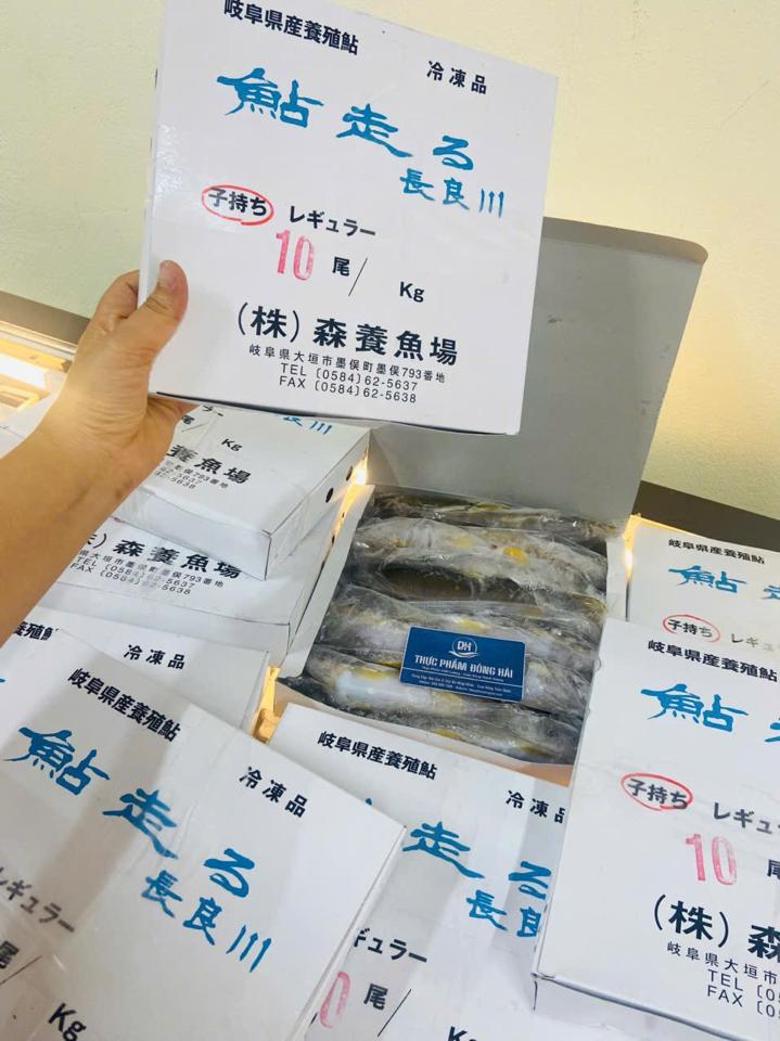 Cá Đắng Ayu ( Cá Hương) Nhật Bản có trứng-duoc-ban-tai-Thực Phẩm Đông Hải