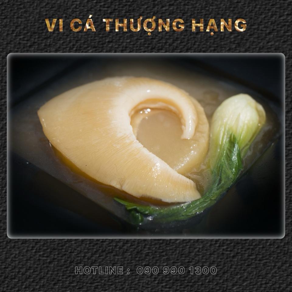 Vi Cá Mập Tươi-duoc-ban-tai-Thực Phẩm Đông Hải