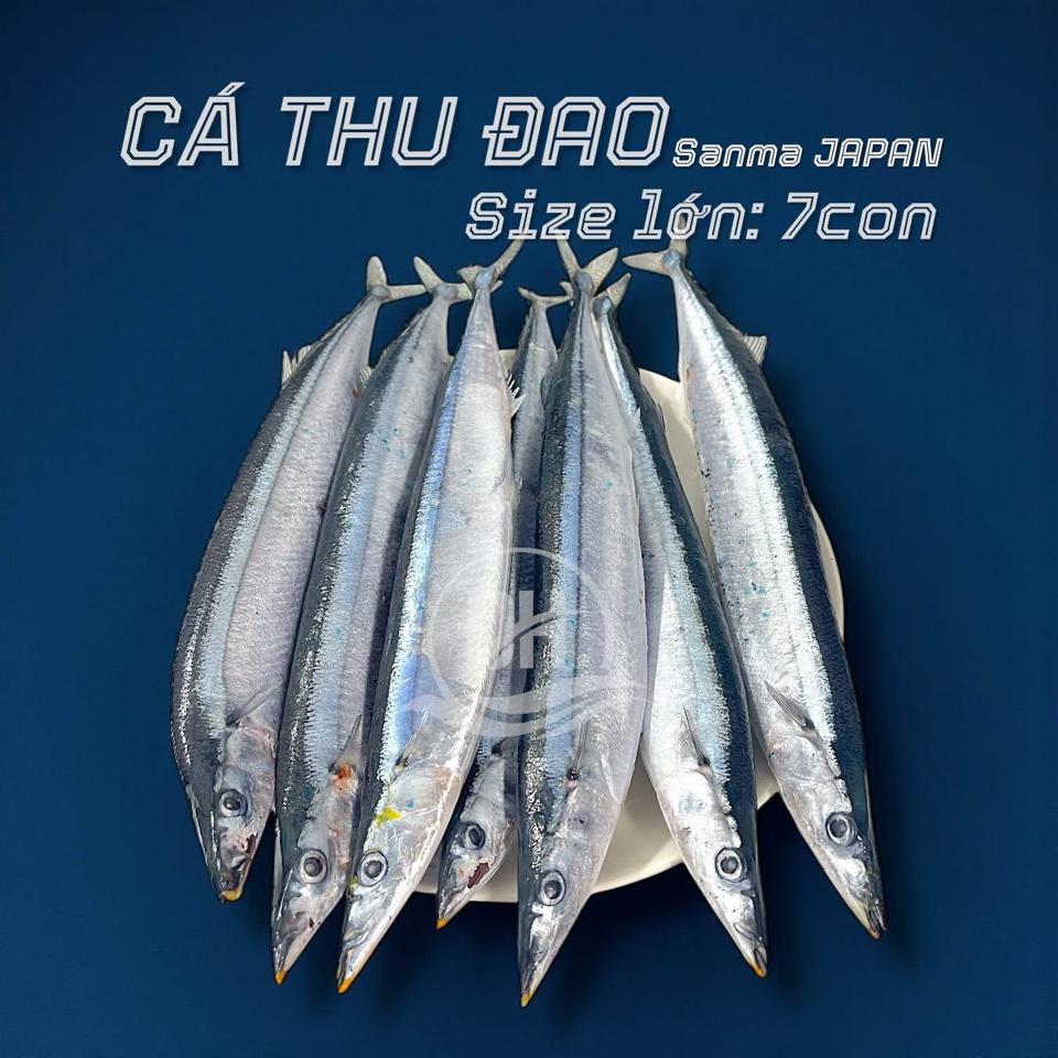 Cá Thu Đao size 1-duoc-ban-tai-Thực Phẩm Đông Hải