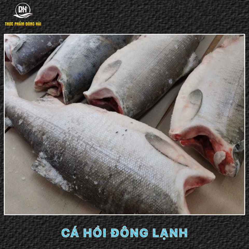 Cá hồi Nauy/Chile đông lạnh nguyên con không đầu-duoc-ban-tai-Thực Phẩm Đông Hải