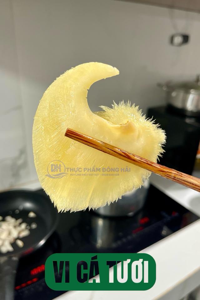 Vi Cá Mập Tươi-duoc-ban-tai-Thực Phẩm Đông Hải