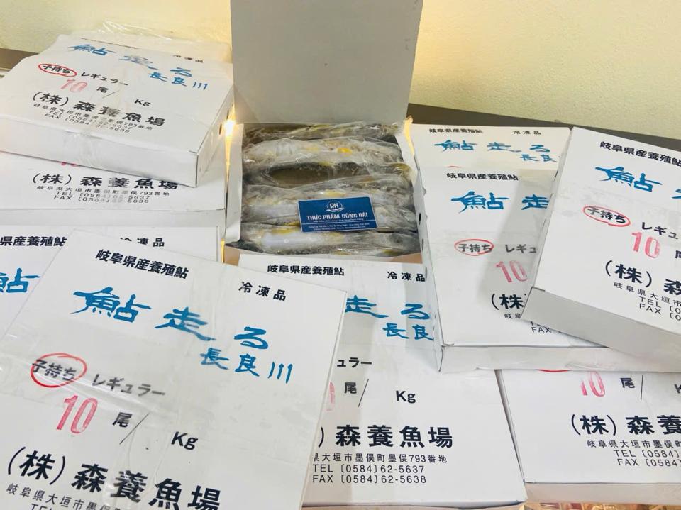 Cá Đắng Ayu ( Cá Hương) Nhật Bản có trứng-duoc-ban-tai-Thực Phẩm Đông Hải