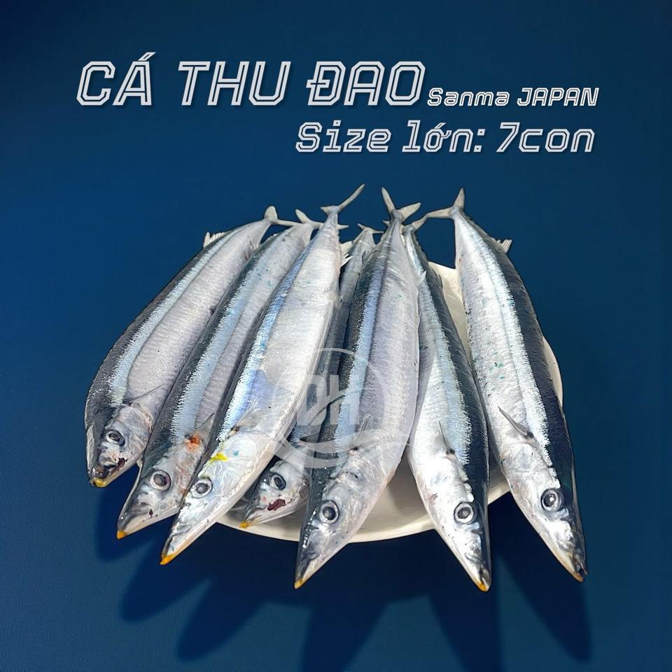 Cá Thu Đao size 1-duoc-ban-tai-Thực Phẩm Đông Hải