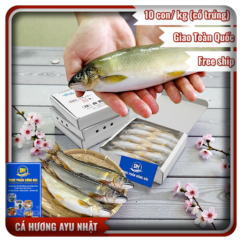 Cá Hương Ayu Nhật Bản (Có trứng)-duoc-ban-tai-Thực Phẩm Đông Hải